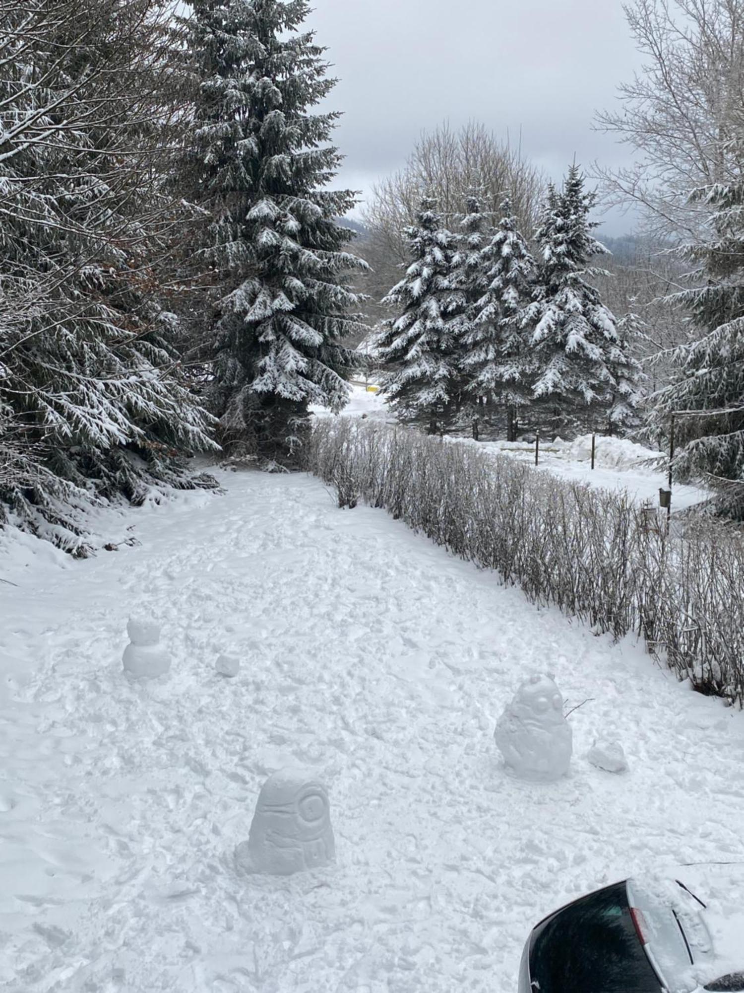 Samostatny Se Zahradou Bedrichov (Liberec)